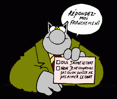 Le chat Philippe Geluk